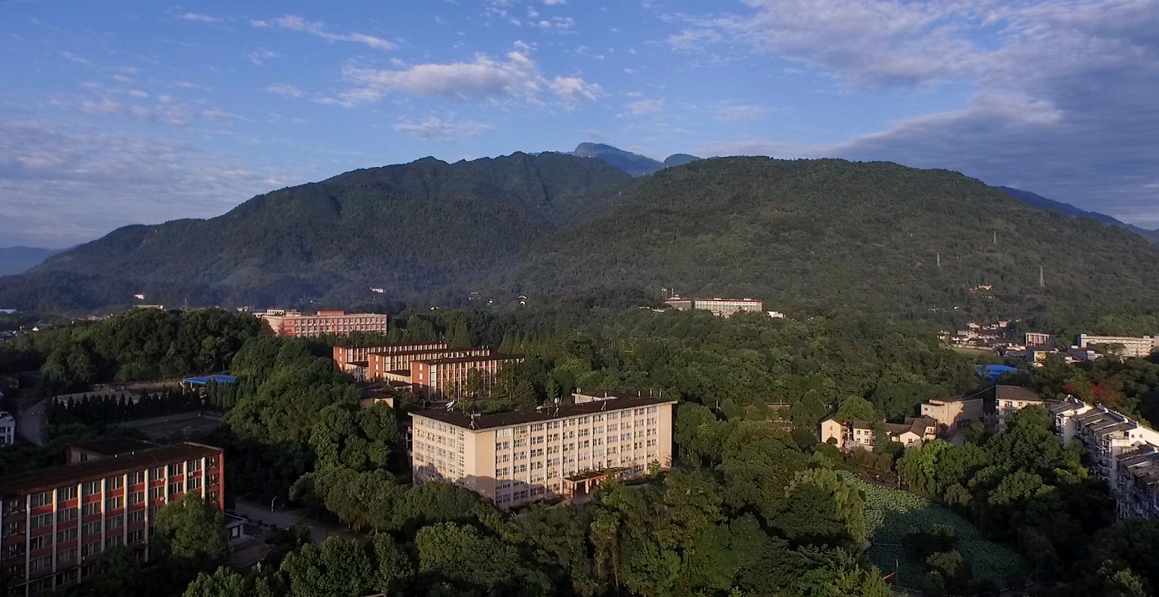 william威廉中文官网