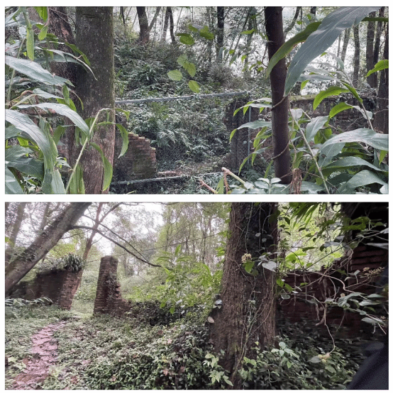 william威廉中文官网