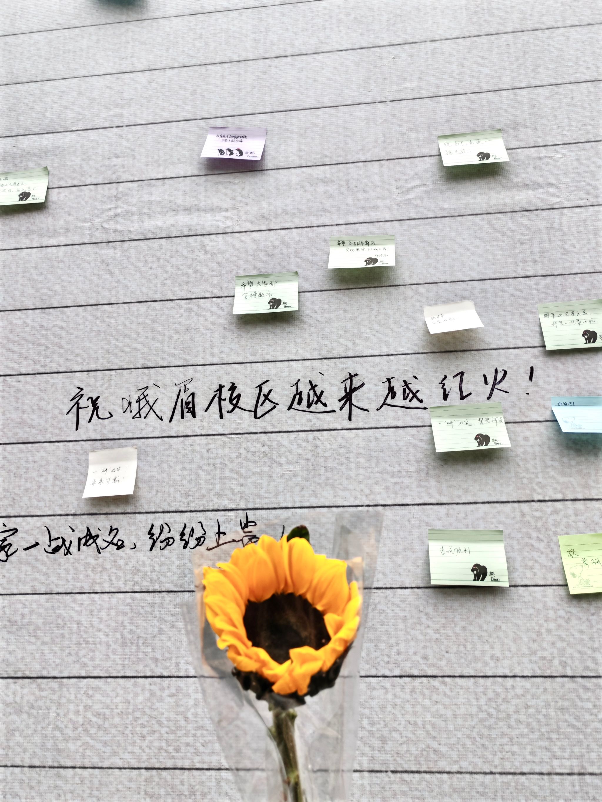 william威廉中文官网